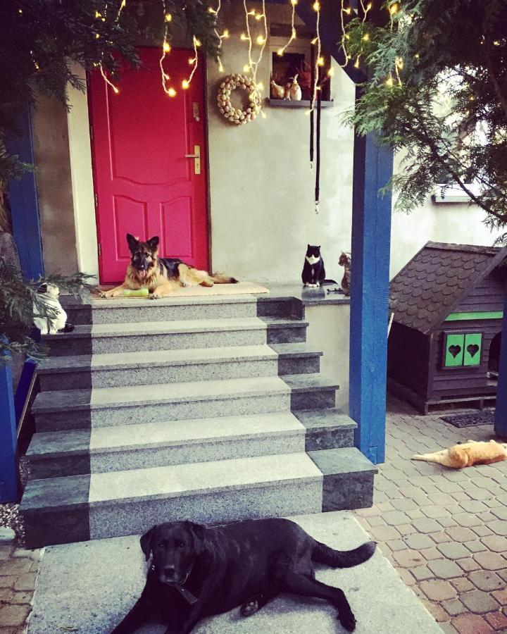 Cat Stone Βίλα Pisz Εξωτερικό φωτογραφία